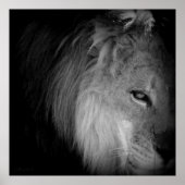 キングプライド ポスター (正面)