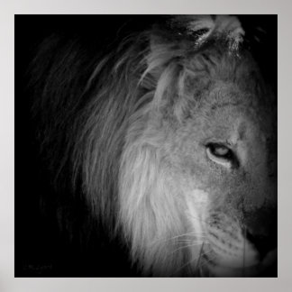 キングプライド ポスター