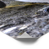 キングペンギンと卵 ポスター (角)