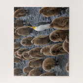 キングペンギンと若いひなが南ジョージアに ジグソーパズル (縦)