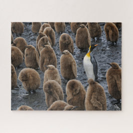 キングペンギンと若いひなが南ジョージアに ジグソーパズル