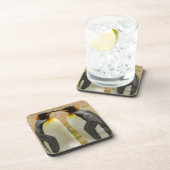 キングペンギンのペア，ファルクランズ コースター (右側)