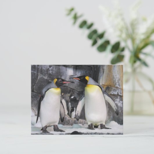 キングペンギンのポストクロッシングポストカード ポストカード (スタンド正面)