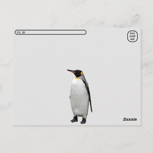 キングペンギンのポストクロッシングポストカード ポストカード (裏面)