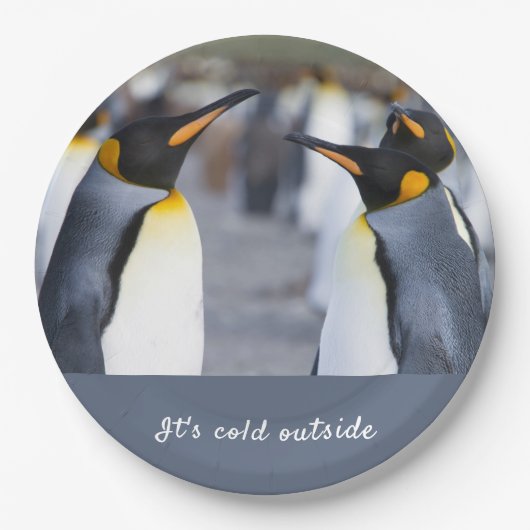キングペンギンの写真の外は寒くて文字 ペーパープレート (正面)