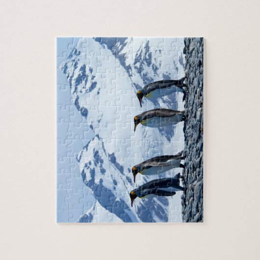 キングペンギンズアットサウスジョージア ジグソーパズル (縦)