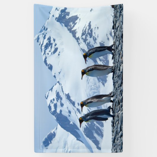 キングペンギンズアットサウスジョージア 横断幕 (縦)
