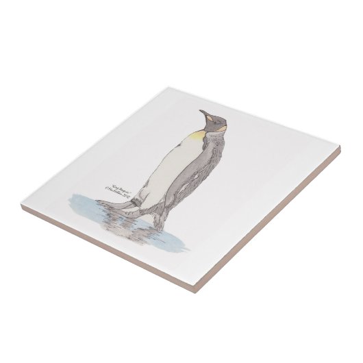 キングペンギンタイル タイル (側面)