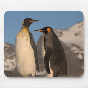 キングペンギンマウスパッド マウスパッド