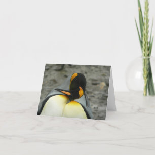 キングペンギン抱き締めること カード