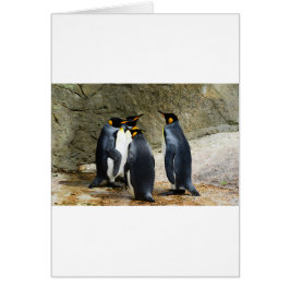 キングペンギン