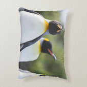 キングペンギン アクセントクッション (裏面(縦))