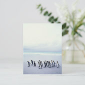 キングペンギン（アプテノジテスパタゴニ） ポストカード (スタンド正面)