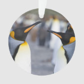 キングペンギン オーナメント (正面)