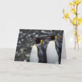 キングペンギン カード (黄色い花)