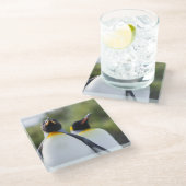 キングペンギン ガラスコースター (アングル)