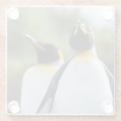 キングペンギン ガラスコースター (裏面)