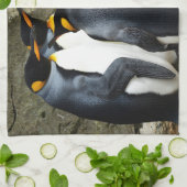 キングペンギン キッチンタオル (折り畳み)