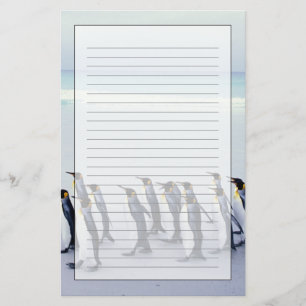 キングペンギン(コウテイペンギン属のpatagonicus) 便箋