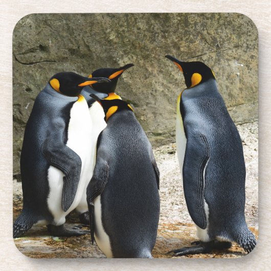 キングペンギン コースター (正面)
