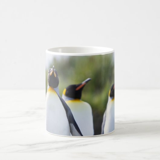 キングペンギン コーヒーマグカップ (中央)