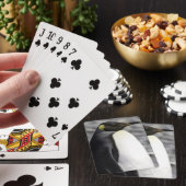 キングペンギン、サリスベリー平野、サウスジョージア トランプ (インサイチュ)