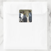 キングペンギン スクエアシール (バッグ)