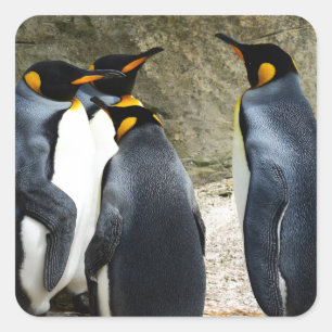 キングペンギン スクエアシール