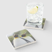 キングペンギン ストーンコースター (横)