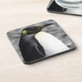 キングペンギン、ソールズベリー平原、南ジョージア コースター (左側)