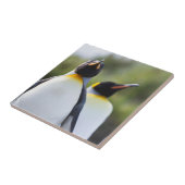 キングペンギン タイル (側面)
