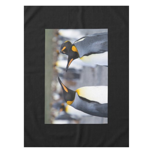 キングペンギン テーブルクロス (正面)