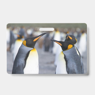 キングペンギン バッジ