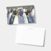 キングペンギン バッジ (正面＆裏面)