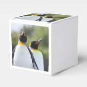 キングペンギン フェイバーボックス (正面サイド)