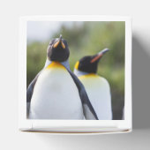 キングペンギン フェイバーボックス (上部)