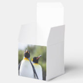 キングペンギン フェイバーボックス (オープン)