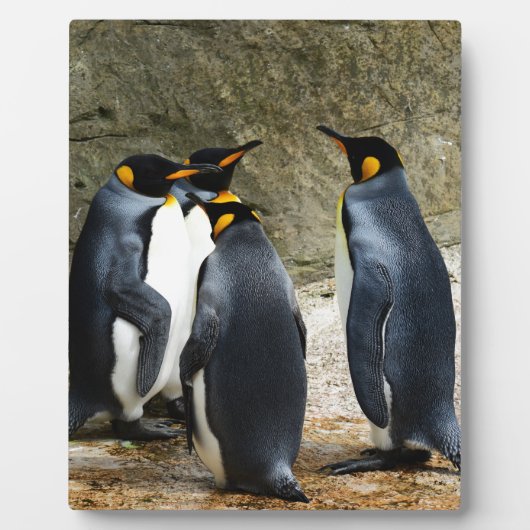 キングペンギン フォトプラーク (正面)