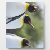 キングペンギン フォトプラーク (正面)