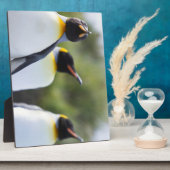 キングペンギン フォトプラーク (側面)