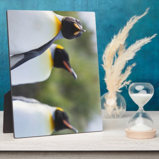 キングペンギン フォトプラーク (側面)