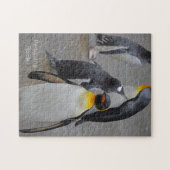 キングペンギン&フレンズエディンバラ動物園スコットランド ジグソーパズル (横)