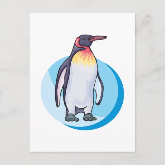キングペンギン ポストカード (正面)