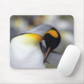キングペンギン マウスパッド (マウス)