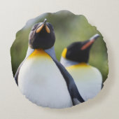 キングペンギン ラウンドクッション (裏面)