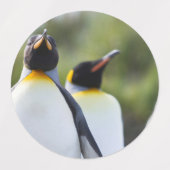 キングペンギン ラベル (デザイン2)