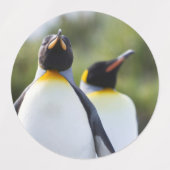 キングペンギン ラベル (デザイン1)