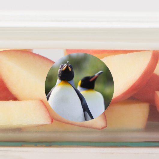 キングペンギン ラベル (貼付)