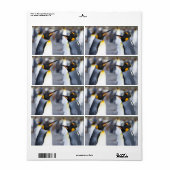 キングペンギン ラベル (フルシート)