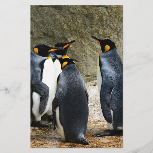 キングペンギン 便箋 (正面)